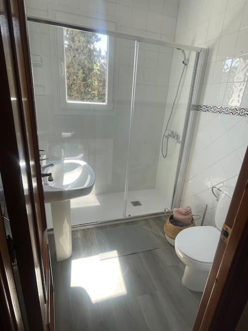 Exclusive Apartamento Limonar マラガ エクステリア 写真