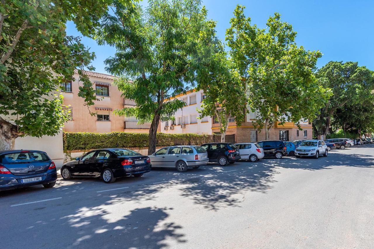 Exclusive Apartamento Limonar マラガ エクステリア 写真
